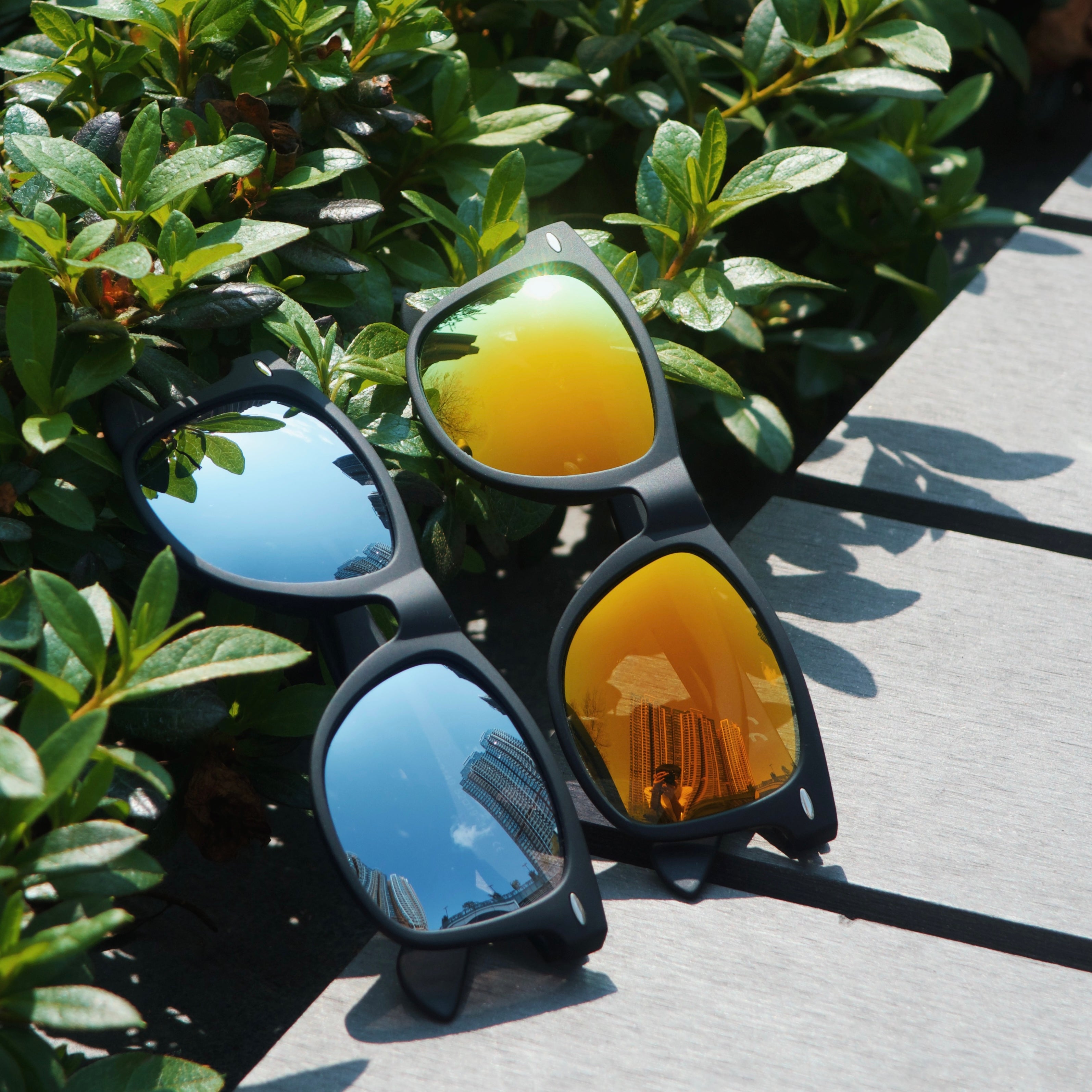sunglasses
